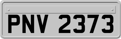 PNV2373