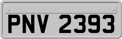 PNV2393