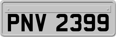 PNV2399