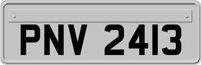 PNV2413