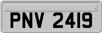 PNV2419