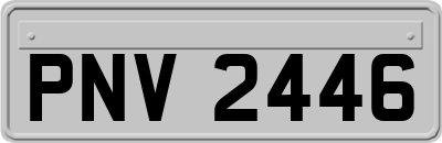 PNV2446