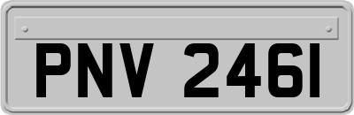 PNV2461