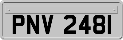 PNV2481