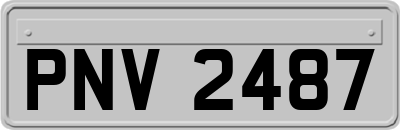 PNV2487