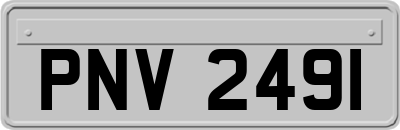 PNV2491