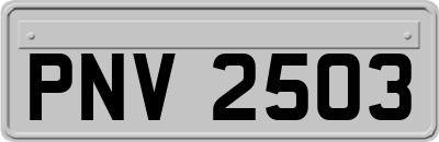 PNV2503