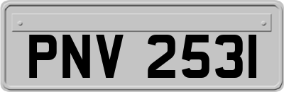 PNV2531