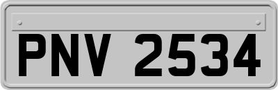 PNV2534
