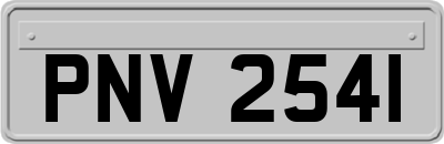 PNV2541