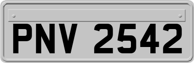 PNV2542