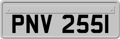 PNV2551