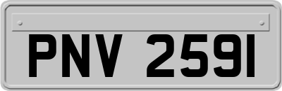 PNV2591