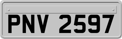 PNV2597