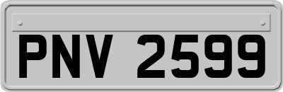 PNV2599