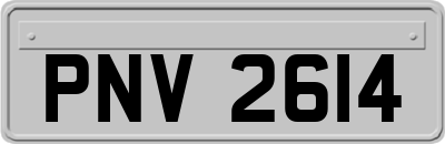 PNV2614