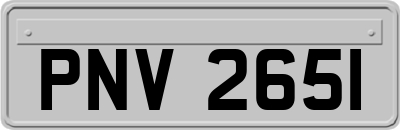 PNV2651