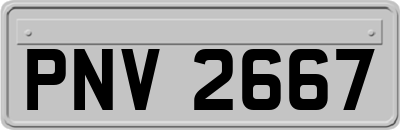 PNV2667