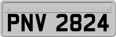 PNV2824