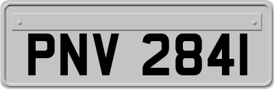 PNV2841