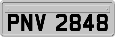 PNV2848
