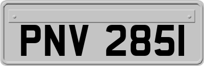 PNV2851