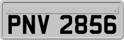 PNV2856