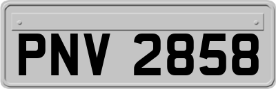 PNV2858