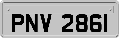 PNV2861