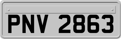 PNV2863