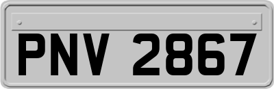 PNV2867