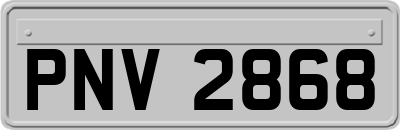 PNV2868