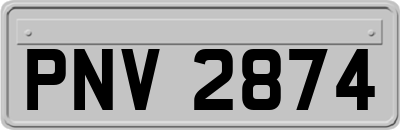 PNV2874