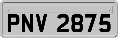 PNV2875