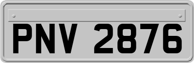 PNV2876