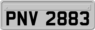 PNV2883
