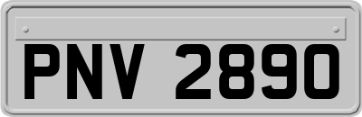 PNV2890