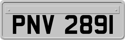 PNV2891