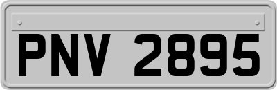 PNV2895