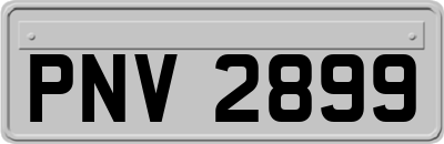 PNV2899