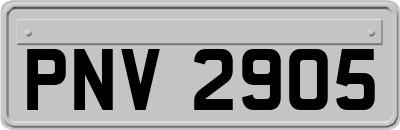 PNV2905