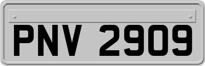 PNV2909
