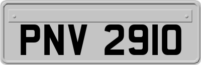 PNV2910