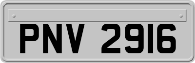 PNV2916