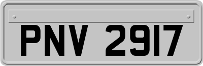 PNV2917