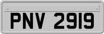PNV2919