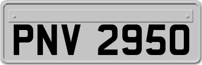 PNV2950