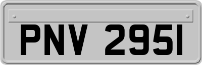 PNV2951