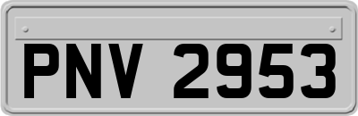 PNV2953