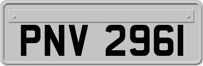 PNV2961